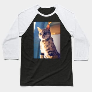 Golden armor knight cat: Iron Fists Baseball T-Shirt